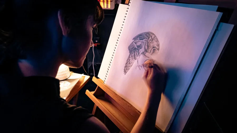 Live Art & Storytelling